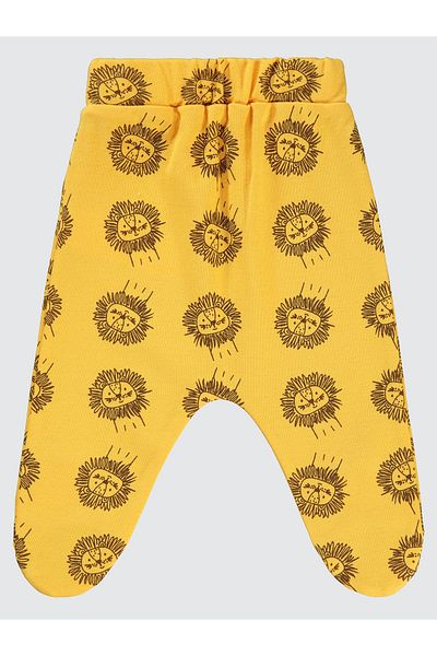 Civil Baby 1-6 Months Baby Boy Mustard Color Booties Single Bottom