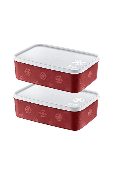 Smartware Carmen 1600 ml - Set of 2 No Frost Storage Containers