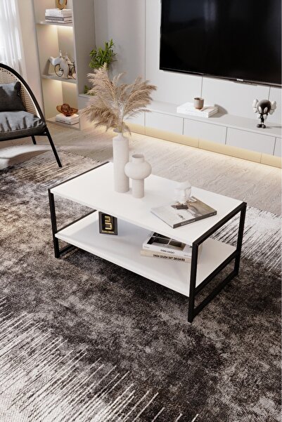 BARIN DESIGN Modern & Şık Orta Sehpa  Metal Çerçeve ile Dayanıklı Tasarım, Mi...