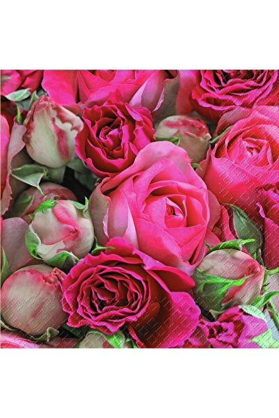 Stewo Desenli Peçete