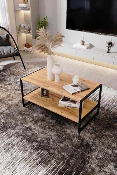 BARIN DESIGN Modern & Şık Orta Sehpa  Metal Çerçeve ile Dayanıklı Tasarım, Mi...