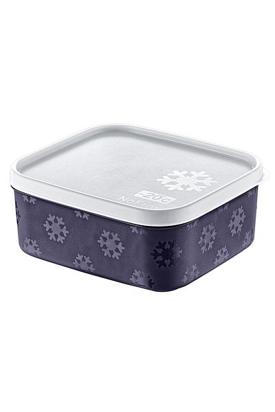 Smartware No Frost Storage Container 700 ml