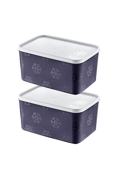 Smartware Navy Blue 2600 ml - Set of 2 No Frost Storage Containers