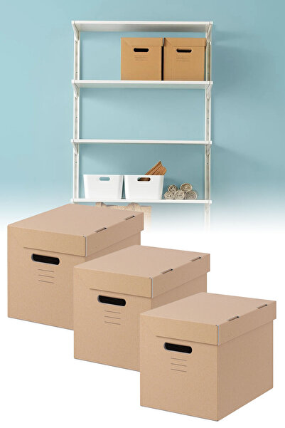 Binbirreyon Düzenleme Saklama Arşiv Kutusu 3 Adet 25X34X26cm DD048