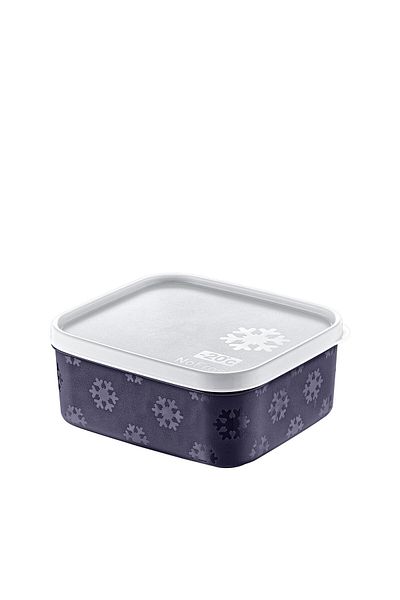 Smartware No Frost Storage Container 700 ml