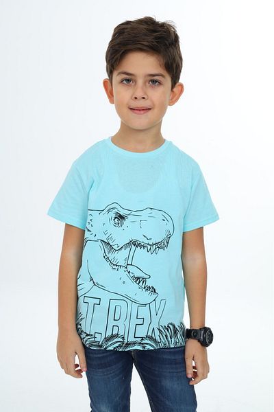 Toontoy Boys' Trex Printed T-Shirt
