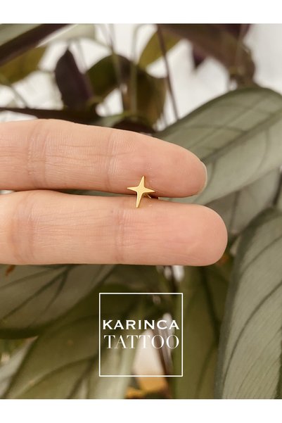 Karınca Piercing Yıldız Rose & Gold & Silver Labret Kulak Kıkırdak Dudak Conch Helix Tragus Piercing