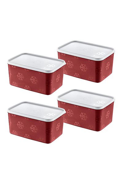 Smartware Carmen 2600 ml - Set of 4 No Frost Storage Container
