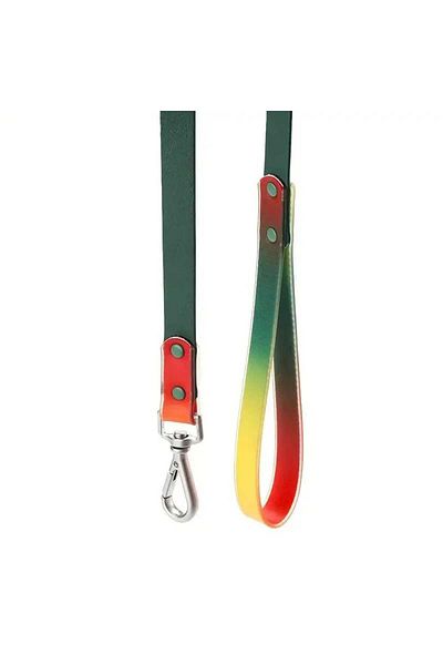 Hünkar Biothane Multicolor Dog Collar