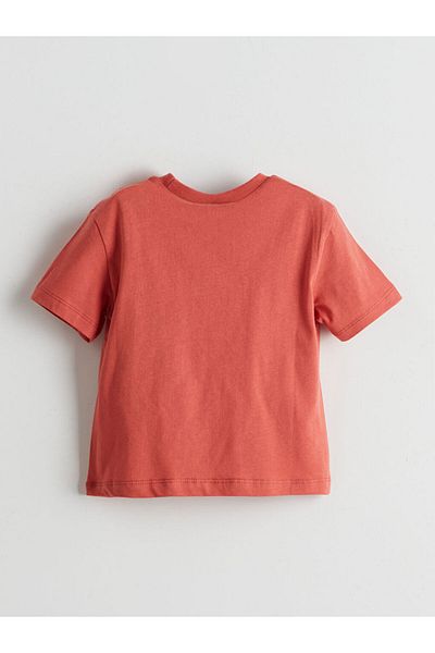 LC Waikiki New Season Crew Neck Printed Boys T-Shirt - S5Jl28Z1