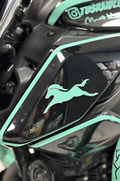 Banxtre ملصق شعار Raider وRTR متوافق مع مجموعة TVS باللون الأخضر النعناعي - م...