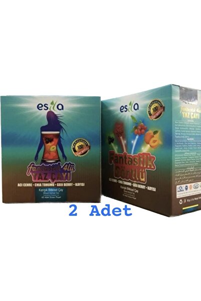 ESİLA Fantastik Dörtlü 4’lü Yaz Çayı 45’li 90 Süzen Poşet 2 Adet Kutu