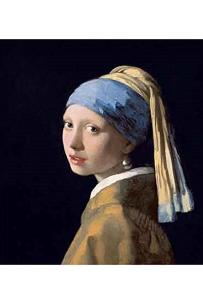 OZN AKSESUAR Hı Stone 5d Elmas Boncuk Taş Işleme Mozaik Goblen Kit 50x40cm GC85929