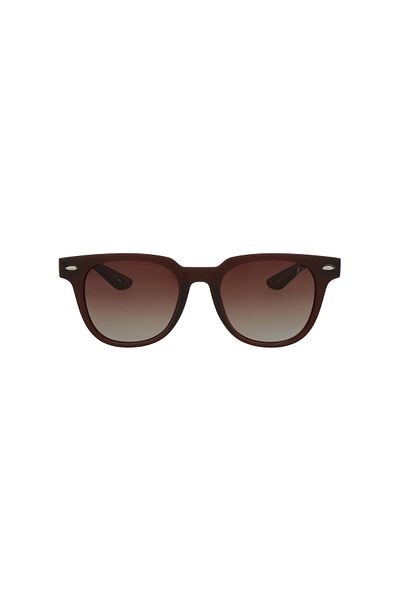 JK 1127 Rs C:3 Matte Brown (POL) Color Sunglasses For Men
