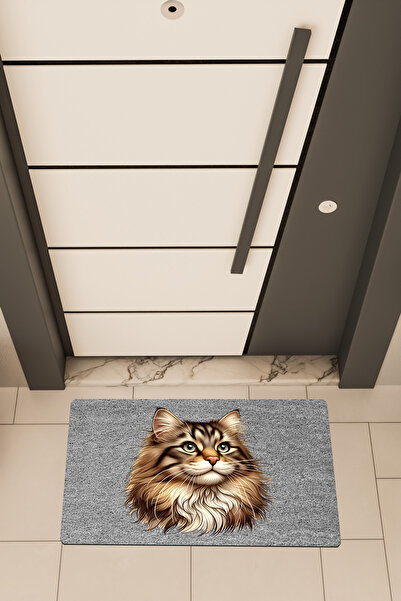 Dormot Home Imprimare digitală de înaltă calitate, gri, covoraș pentru ușă cu...