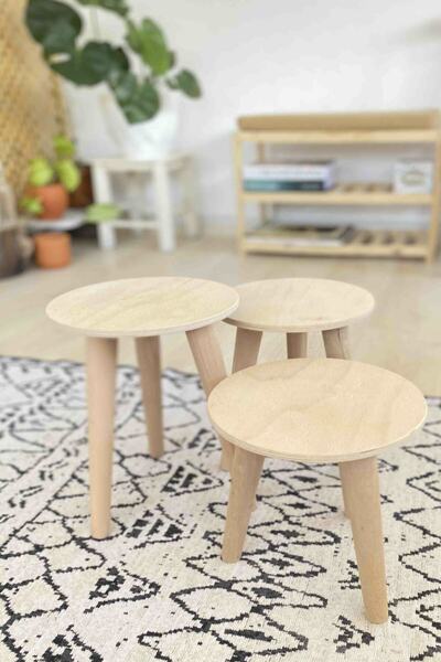 Evnalia Doğal Ahşap 3'lü Yuvarlak Dekoratif Hobi Saksılık & Çocuk Hobi Aktivi...