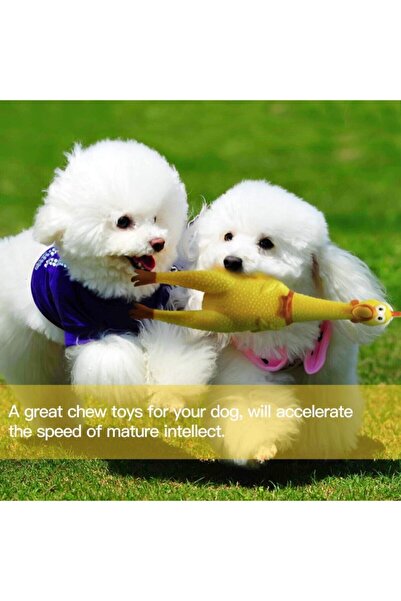 Lion Pet Köpek Için Öten Tavuk Horoz Oyuncak 27 Cm