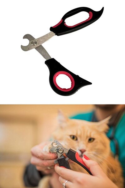 Buffer Büyük Irk Köpek Kedi Çelik Uçlu Evcil Hayvan Tırnak Makası Pati Bakım Aleti Ergonomik Kaymaz