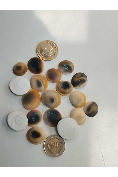 abena ΜΕΓΑΛΟ ΜΕΓΕΘΟΣ Πέτρα Κριθάρι 50 Τεμάχια