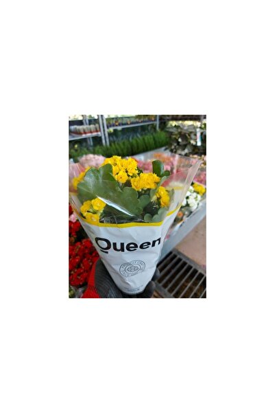 Mevsim Fidancılık Kalanşo Çiçeği Sarı Renkli Kardeş Kanı 10-20 cm