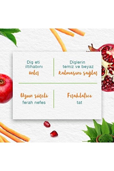 Himalaya Since 1930 Komple Bakım Bitkisel Diş Macunu, Florürlü, Parabensiz, Vejeteryan, Güçlü Dişler, 75 ml