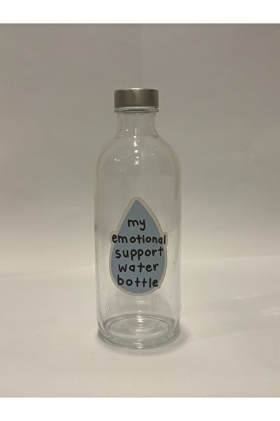 page journals my emotional support water bottle su şişesi 500 ml