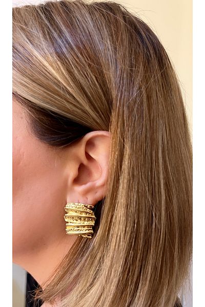 Store Steel Earrings