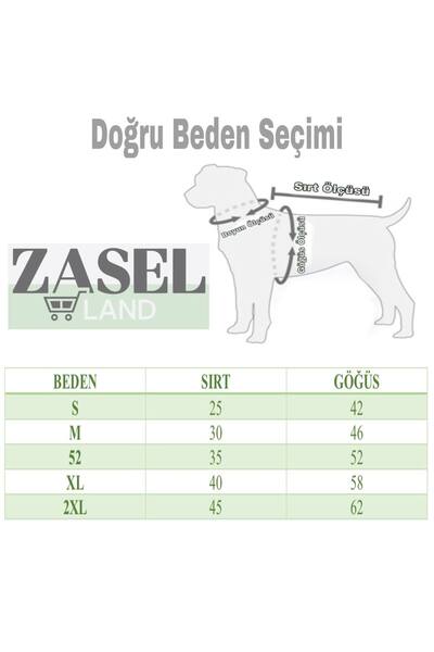 ZASEL LAND Kedi köpek mavı tavşanlı mont