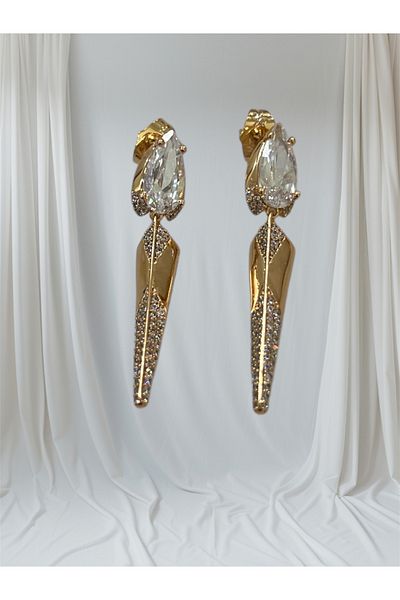 Store Steel earrings with Zirconia