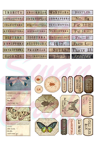 Pink Swan Craft Vintage Insect Sa deznom Ephemera set naljepnica - Bullet Jou...