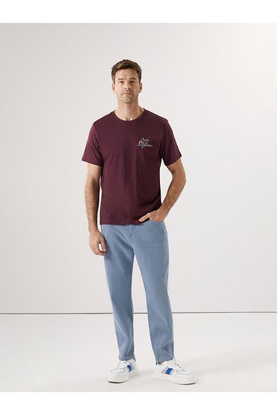 LC Waikiki Crew Neck Printed Men's T-Shirt
