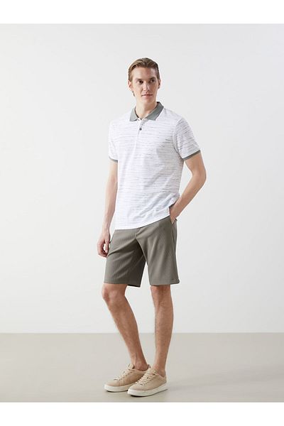 LC Waikiki Standard Fit Men's Shorts