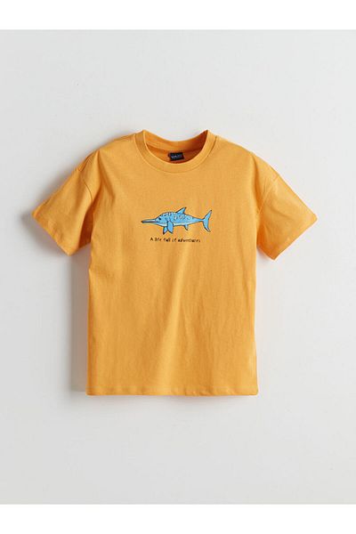 LC Waikiki New Season Crew Neck Boy's T-Shirt - S5Iu46Z4
