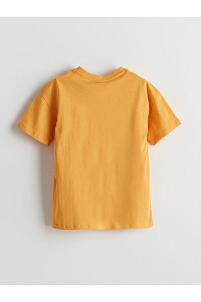 LC Waikiki New Season Crew Neck Boy's T-Shirt - S5Iu46Z4