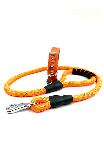 Tasma Market Orange Medium Breed Reflective Dog Walker and Neck Collar Set