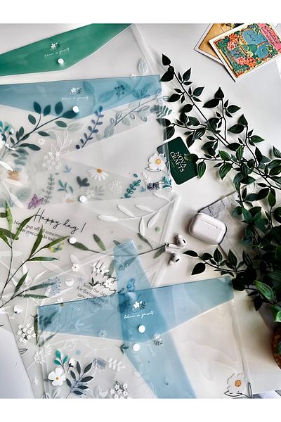 Nova Crafts Pinterest Patterned Imported Clear File (Two Pieces)