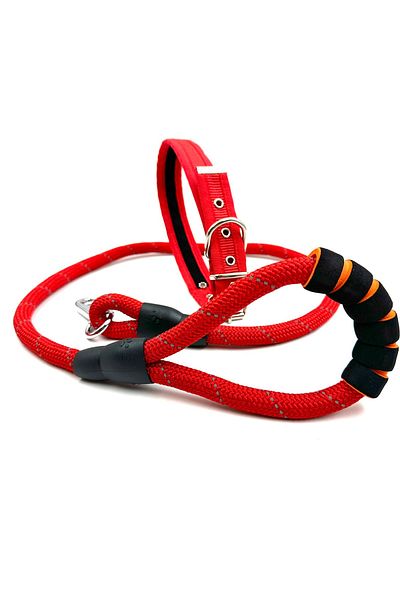 Tasma Market Red Small and Medium Breed Reflective Dog Walker and Neck Collar Set