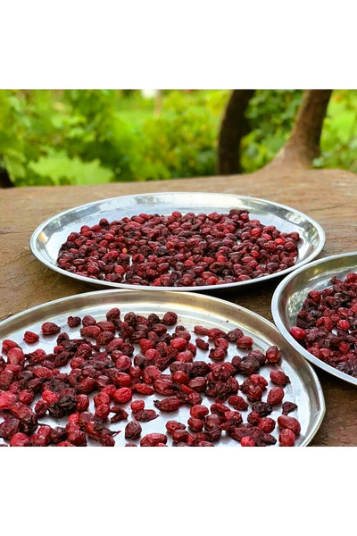 Erzurum İpekgurme Erzurum İpek Gurme Tortum Kızılcık Kurusu - Çekirdekli (2 K...