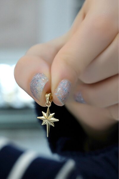 aytekgold Aynalı Kutup Yıldızı Kolye Ucu 14 Ayar