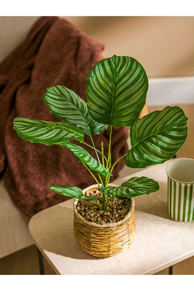LC Waikiki LCW HOME Μικτό Διακοσμητικό Τεχνητό Λουλούδι 36 Εκ. T T