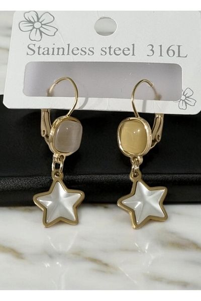 shop Sedefled Star 316L Steel Earrings