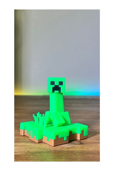 Shaddshop Mcraft Creeper and Skeleton Island Gift Figure