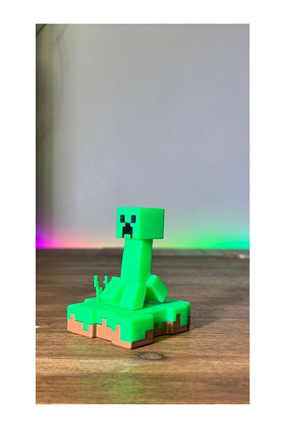 Shaddshop Mcraft Creeper and Skeleton Island Gift Figure