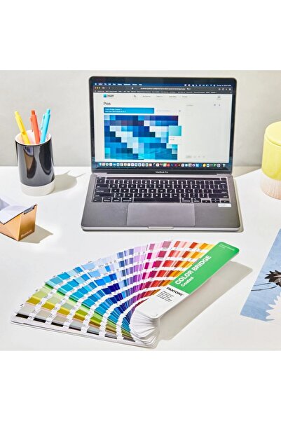 Pantone Color Bridge Guide | Coated