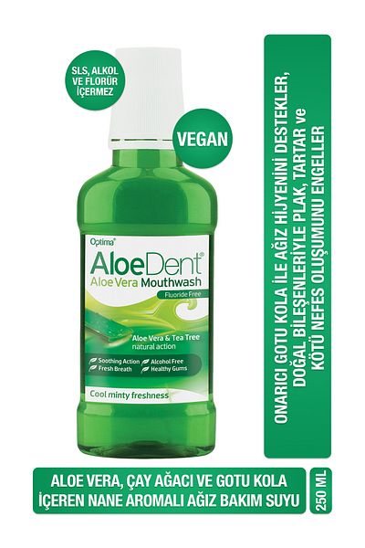 AloeDent Aloevera Extra Whitening Toothpaste 100ml Alcohol-Free and Fluoride-Free Oral Care Water 250ml X2 Aloe Dent