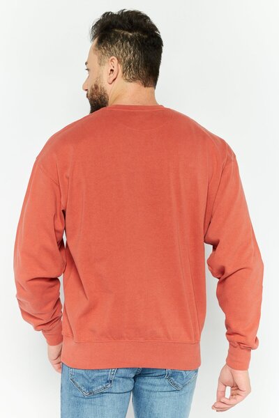 WRANGLER Men Crew Neck Brand Logo Long Sleeves Sweatshirt, Rust Brown