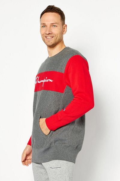 Champion Men Sportswear Fit Long Sleeve Outdoor Sweatshirt, Grey