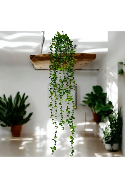 Lilac Home Yapay Çiçek Beyaz Saksı İçerisinde 80 Cm Yeşil-Açık Yeşil Okaliptus