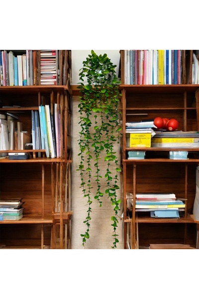 Lilac Home Yapay Çiçek Beyaz Saksı İçerisinde 80 Cm Yeşil-Açık Yeşil Okaliptus