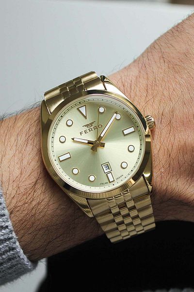 FERRO F11567B4 Men's Watch with Steel Band